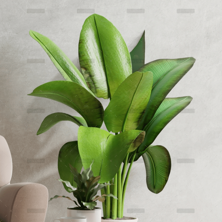 brown-sofa-wooden-table-living-room-interior-with-plant-concrete-wall.jpg
